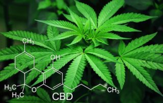 Testing for Marijuana at Work - InOut Labs