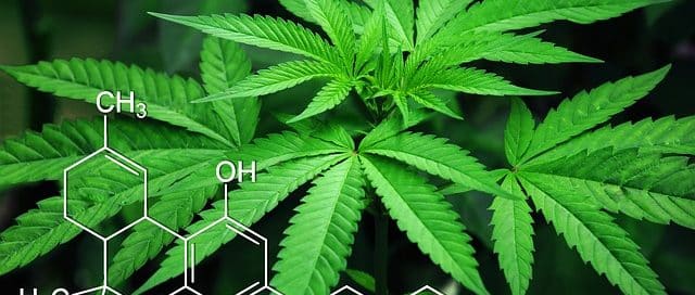 Testing for Marijuana at Work - InOut Labs