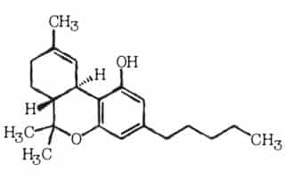 Medical Marijuana and Drug Testing: 5 Truths Everyone Should Know - InOut Labs