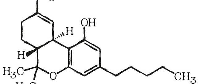 Medical Marijuana and Drug Testing: 5 Truths Everyone Should Know - InOut Labs