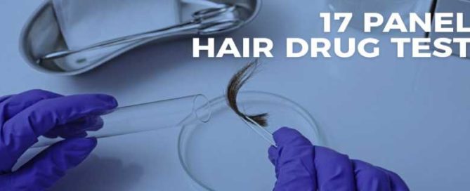 17 Panel Hair Drug Test