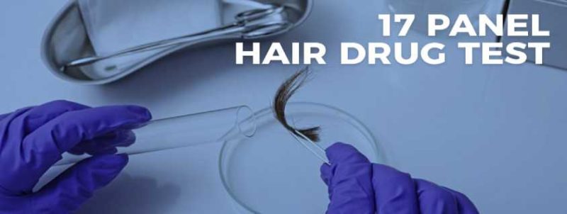 a hair drug test