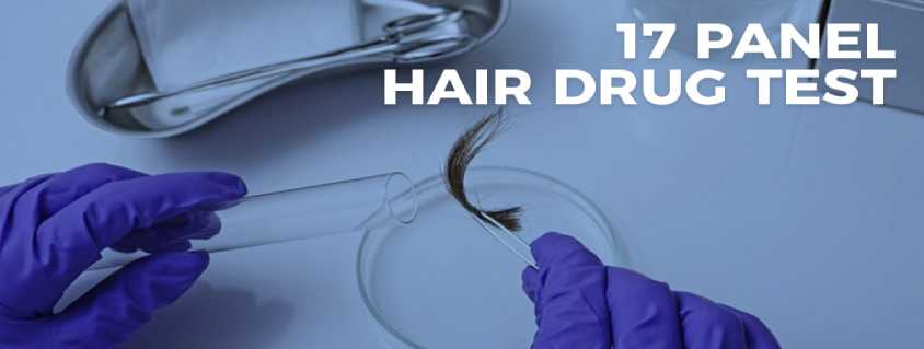 17 Panel Hair Drug Test