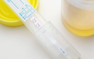 Positive Marijuana Tests: Which State & City Ranked Highest - InOut Labs