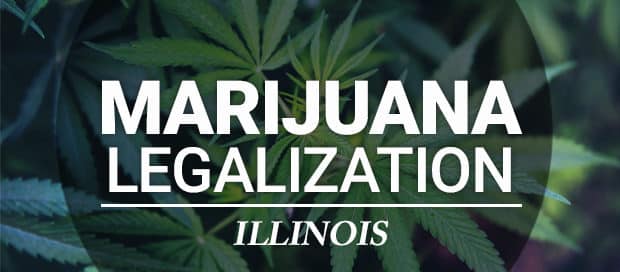 Illinois Cannabis Law: Employer Guidelines for Compliance - InOut Labs